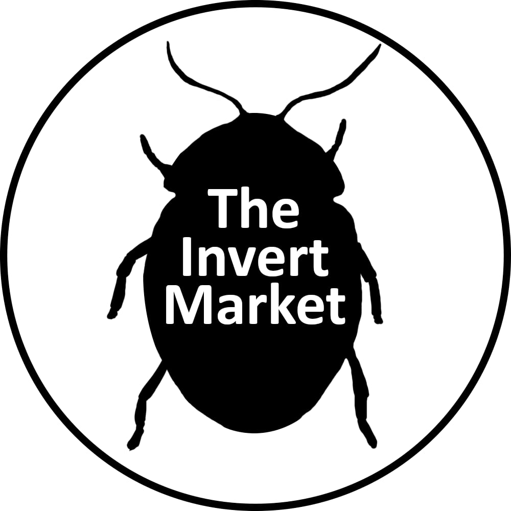 Invert Market